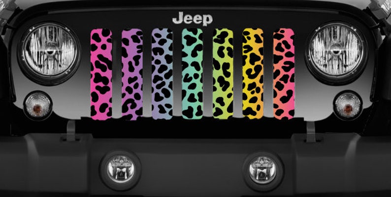 Pastel Rainbow Colored Leopard Cheetah Animal Print Jeep Grille Insert