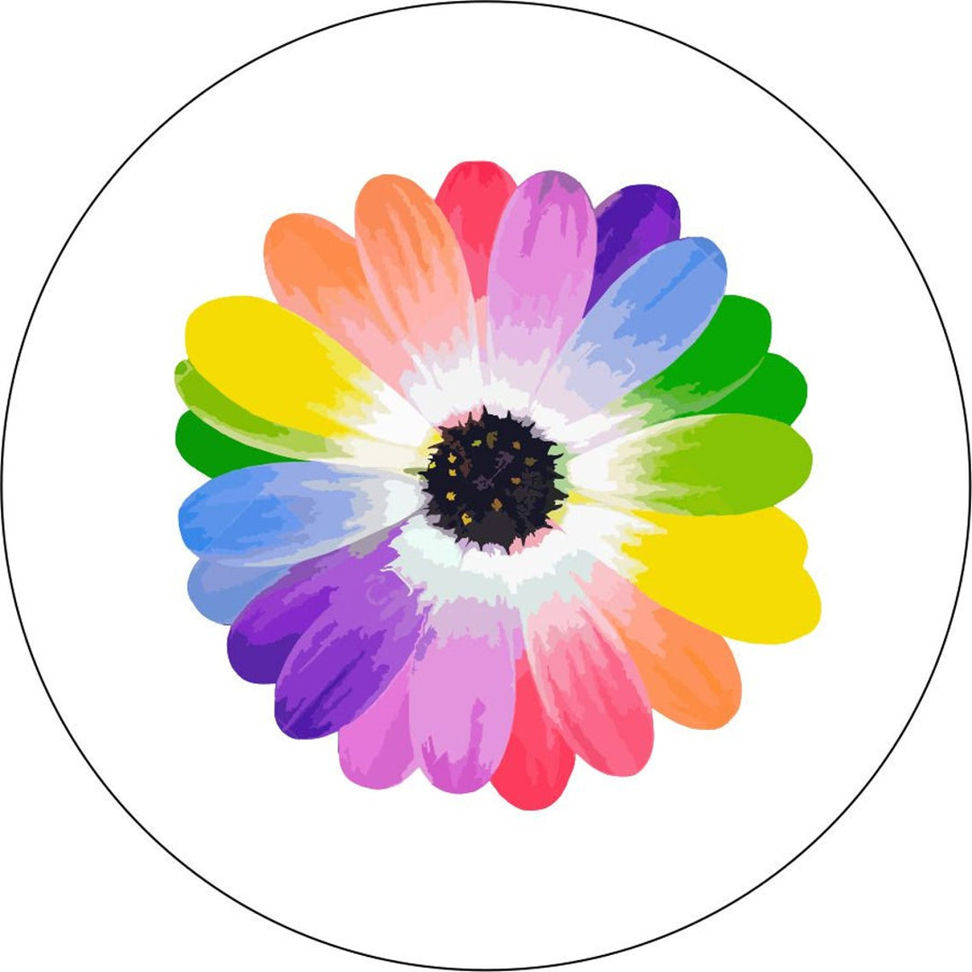 Rainbow Daisy Flower