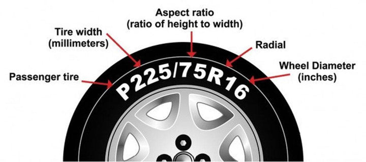 Changes in Latitude Changes in Attitude Sunset Spare Tire Cover