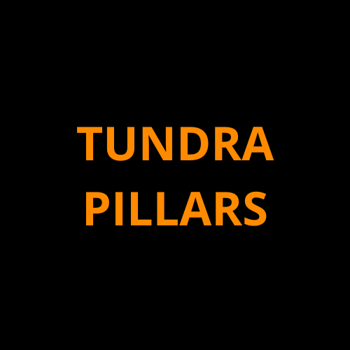 Pillars ProTech Kit for Toyota Tundra